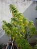 20170901_111620.jpg