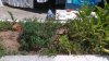 IMG-20180816-WA0001.jpg