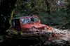 jeep,-coche,-bosque-125465.jpg