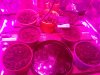 20190626_034847.jpg