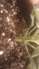 IMG-20190718-WA0052.jpeg