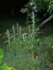 20200321_061805.jpg
