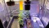 20200913_112401.jpg