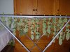 20210104_224617.jpg