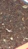 20210312_125337.jpg