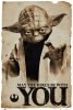 star-wars-yoda-que-la-fuerza-te-acompane-i14144.jpg