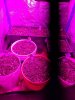 20220715_010350.jpg