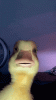 20220923_232555.gif