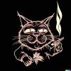 DALL·E 2022-10-05 11.46.46 - Crazy cat smoking marijuana black background.png