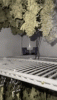 20230120_003347.gif