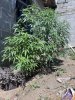 IMG_2218.jpeg