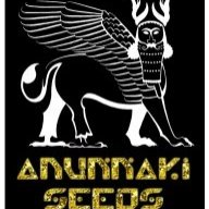 anunnaki-seeds