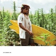 legalizecr