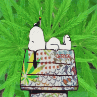 Snoopy Weed