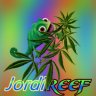Jordireef