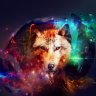 AveFenix