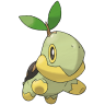 turtwig