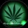 davicannabis