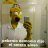 OmeroSinson