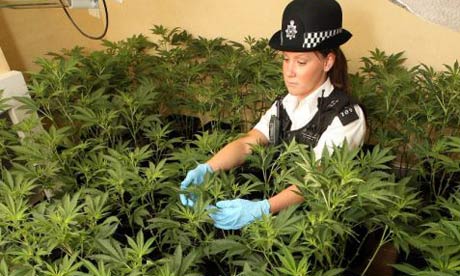 cannabis-londres