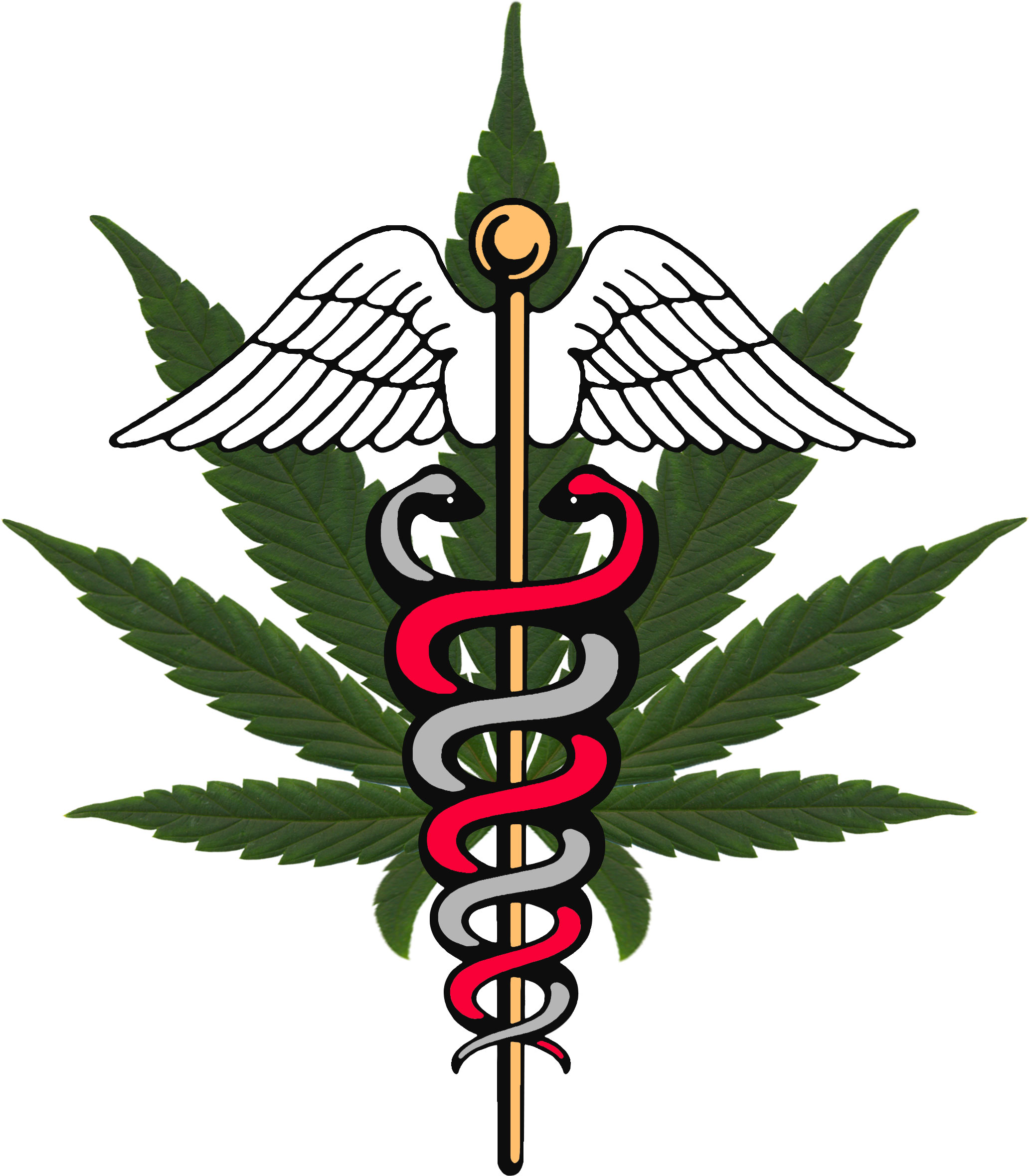 medical-marijuana (3)
