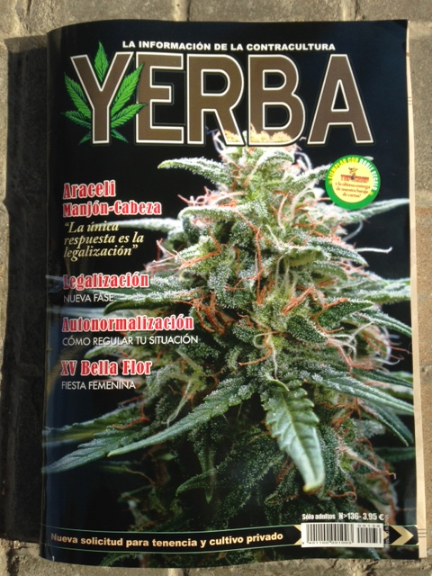 yerba buena a novel yerba buena a novel