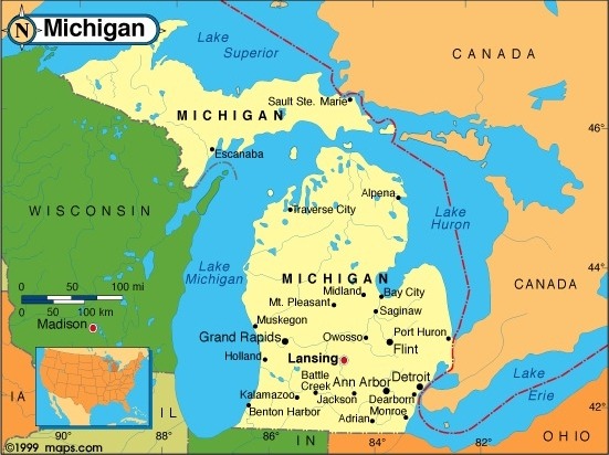 1_image-large (14)