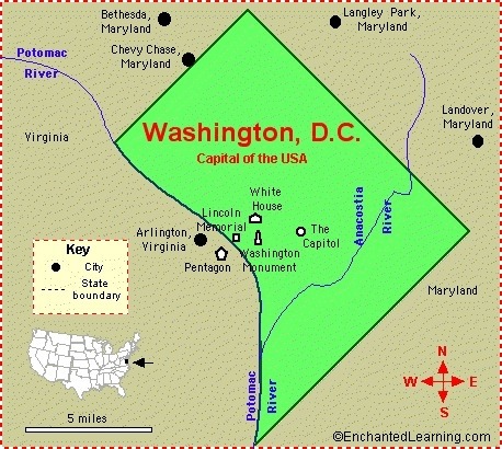 1_image-large (7)
