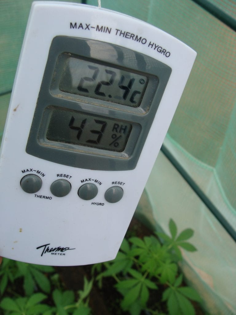 Cultivo invernal marihuana