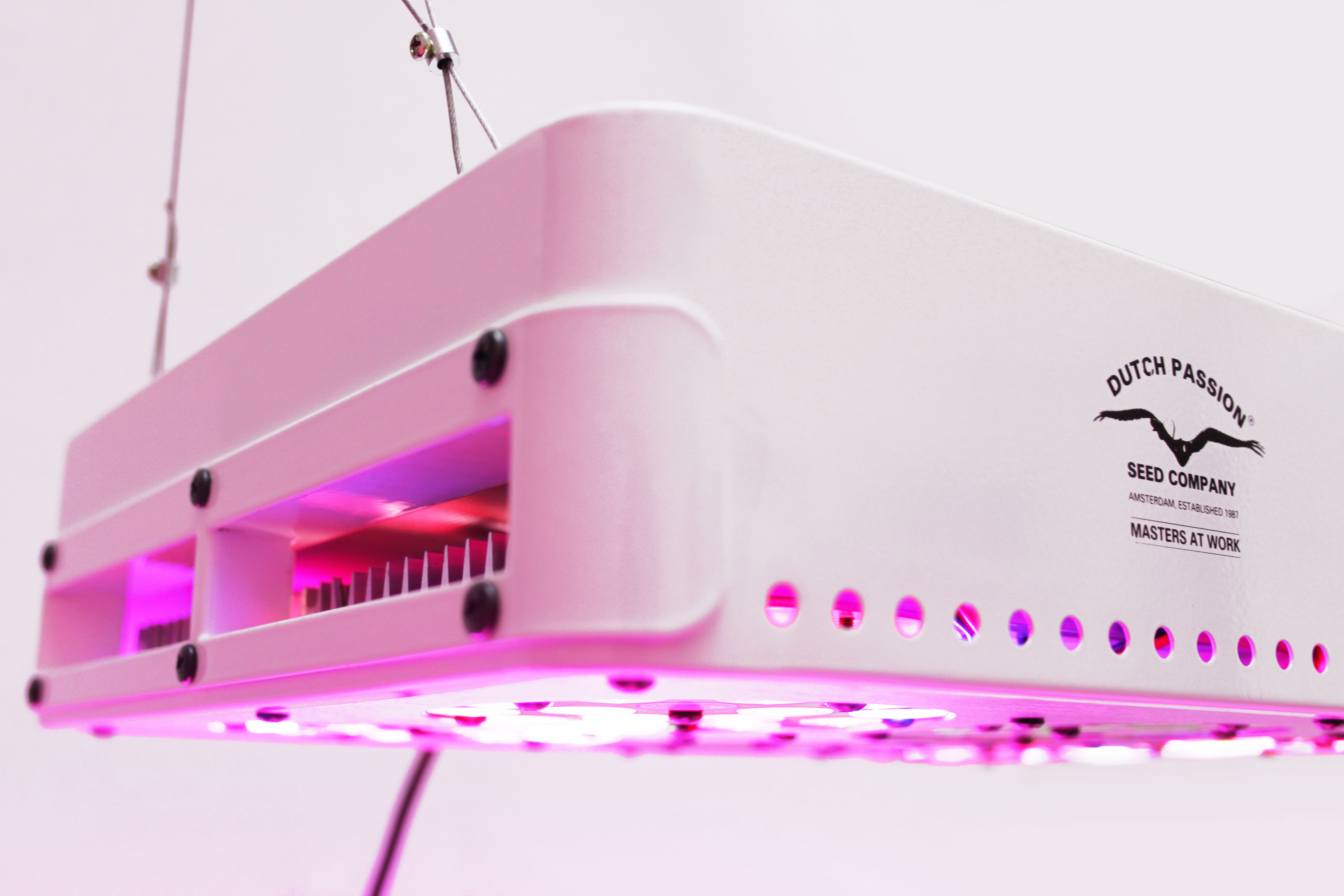 LED11X