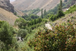 iran3