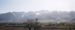 Uzbekistan5-250x99