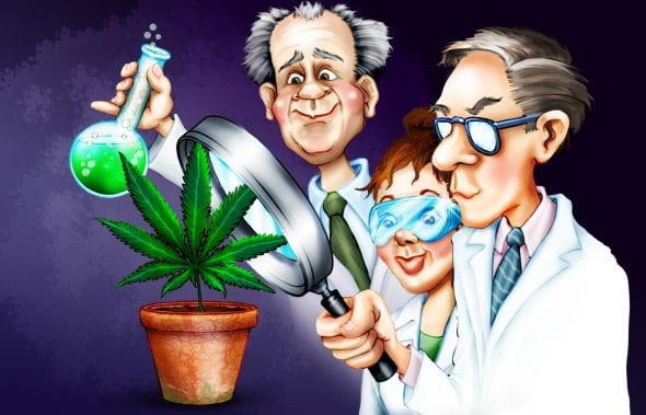 pot-marijuana-science-cartoon-hbtv-hemp-beach-tv (2)