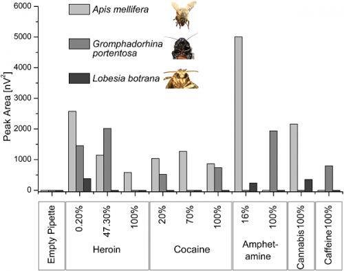 drugbees1-500x394