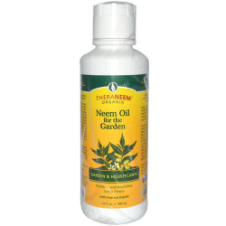 Aunque se suele creer que el aceite de neem es inofensivo para los abejorros, hace poco se ha demostrado que resulta letal (© The Art of Doing Stuff)