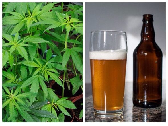 El-alcohol-es-114-veces-mas-mortifero-que-la-substancia-de-la-marihuana.jpg.jpg-1024x769