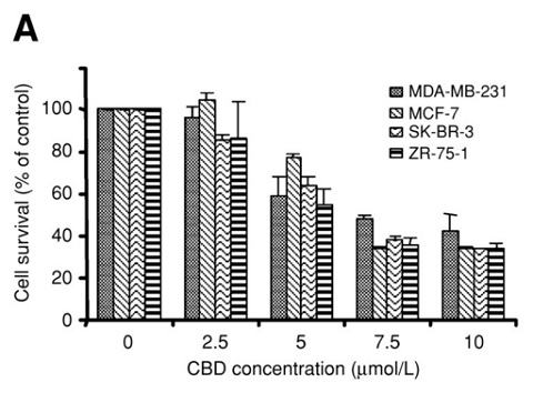 CBD_vs_Cancer_Results