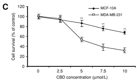 CBD_vs_Cancer_Results2