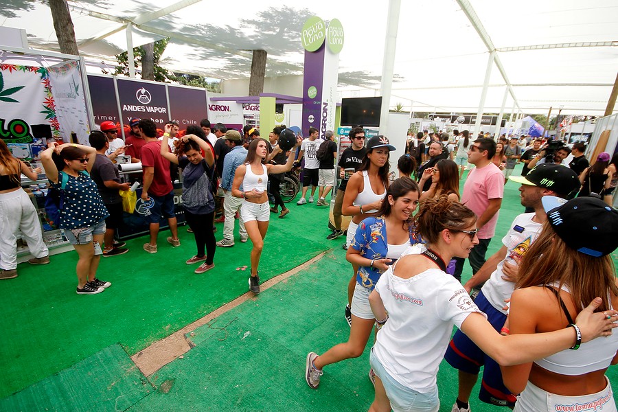 expoweed-a1-2