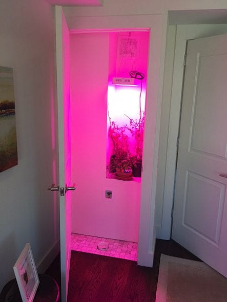 grow_closet--450