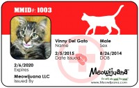 Carnet de gato consumidor