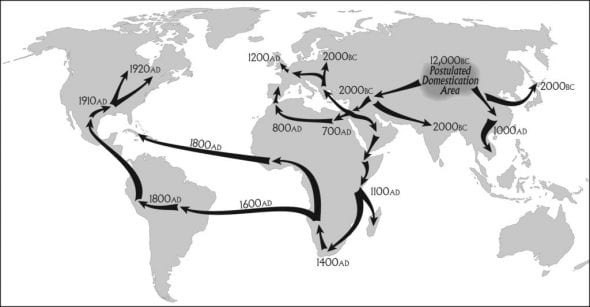 Cannabis-Seeds-Smuggling-1-1-1024x532