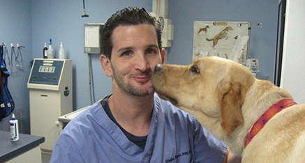 Dr. Kramer