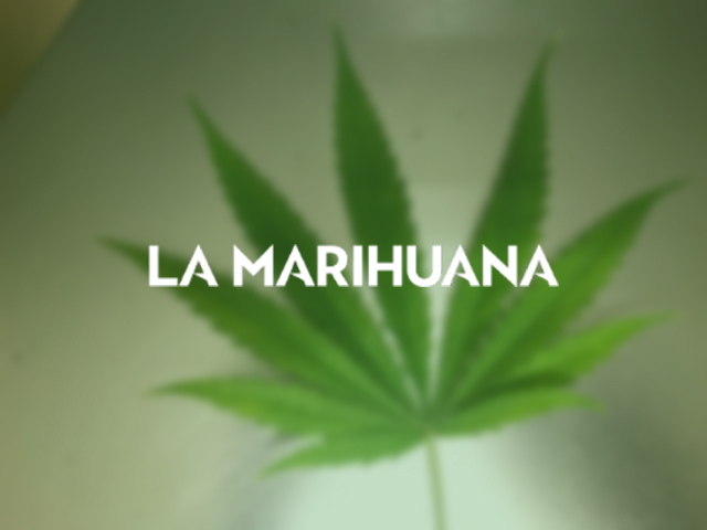 www.lamarihuana.com